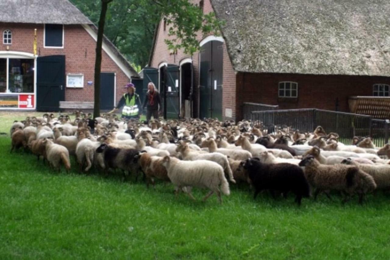 Huisje Exloo Eksteriør billede